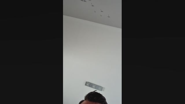 Doperman  21-05-2022